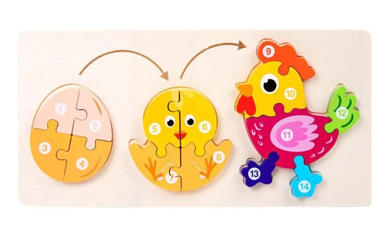 Chicken Lifecycle Learning Wood Puzzle