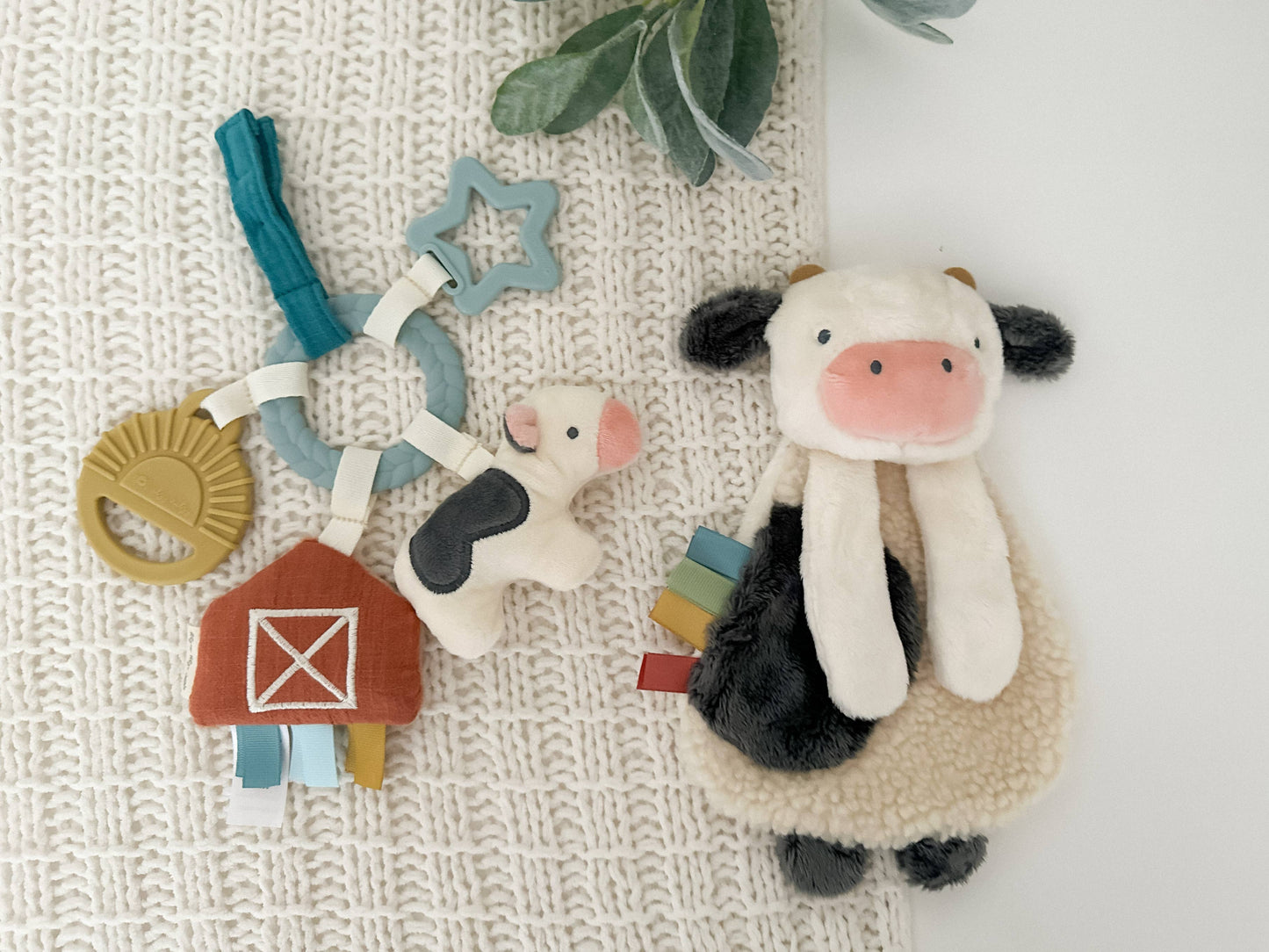Bitzy Busy Cow Gift Set