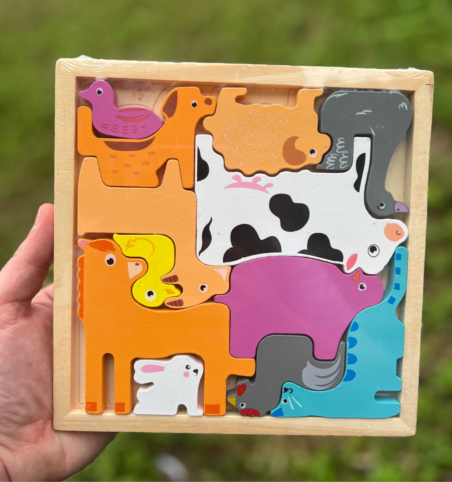 Brain Teaser Farm Animal Wood Puzzle